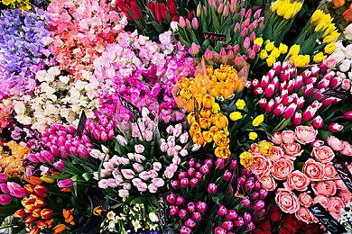 《后室：清洁小队》登陆Steam 都市传说新玩法